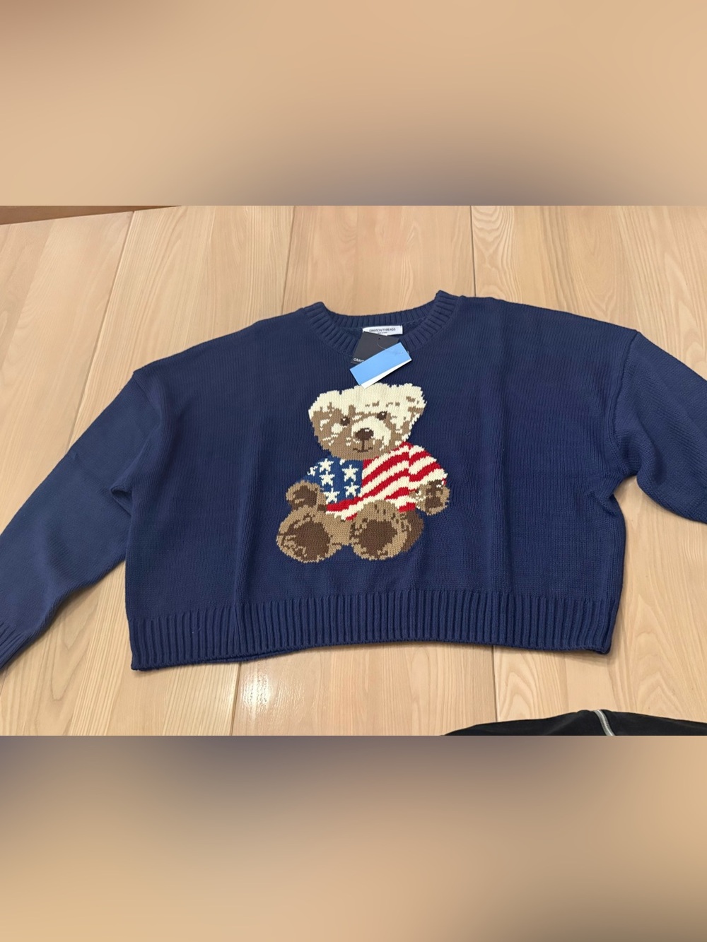 GRAYS0N THREADS Bear Graphic Crewneck Sweater Size 2X NWT
